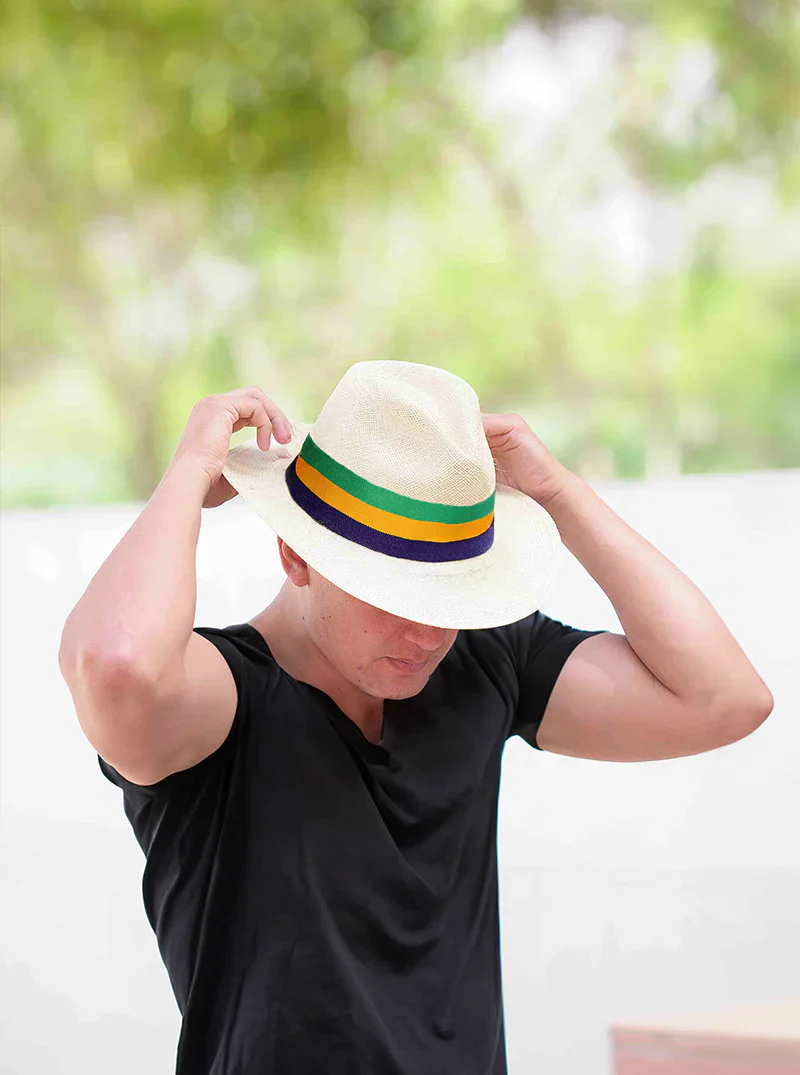 Tricolor Hat Band